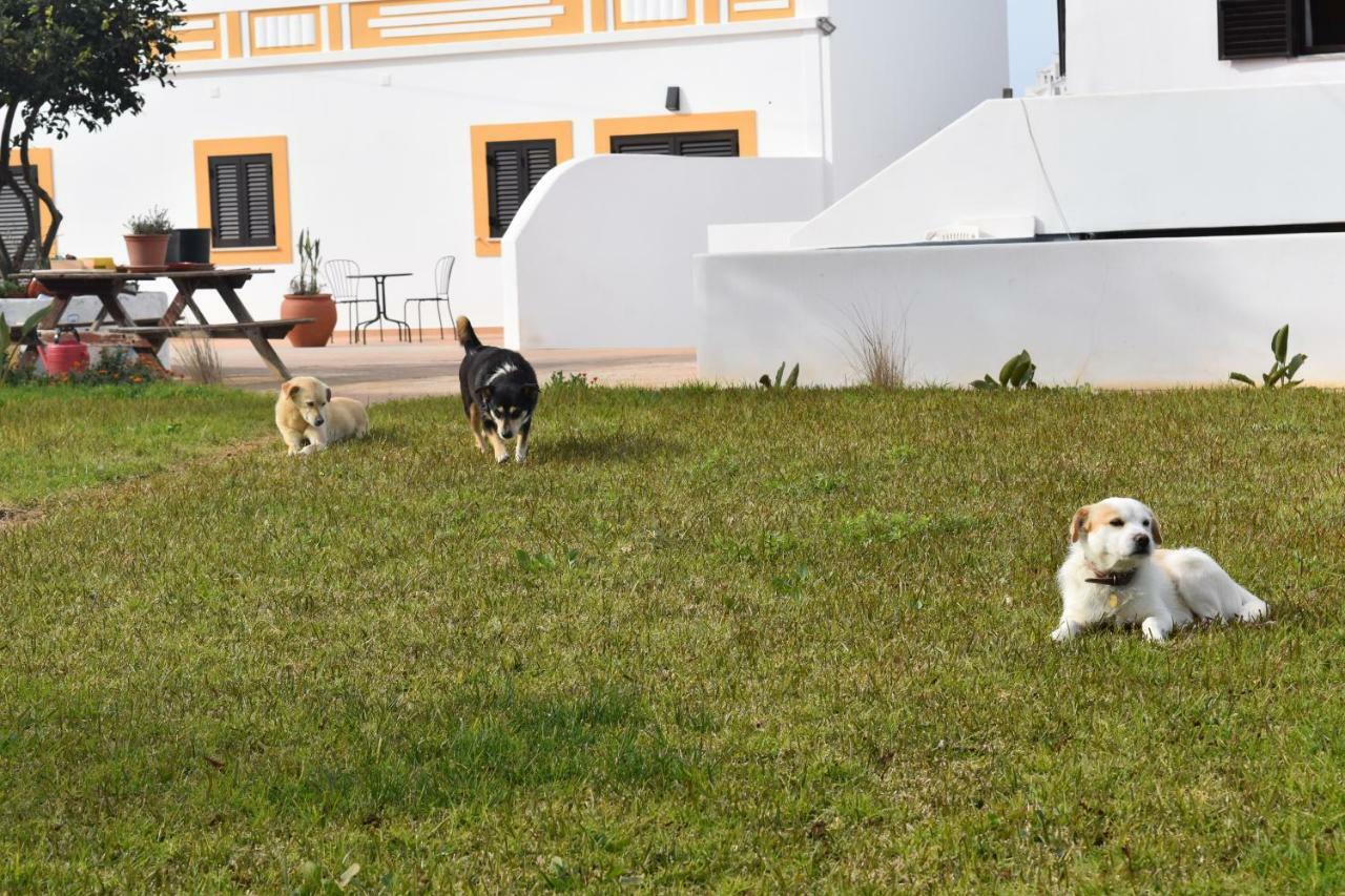 Quinta David Vila Alvor Exterior foto